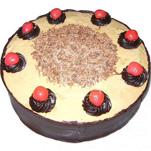 2Lbs Special Chocolate Coffee Mochamagic Cake - Armeen