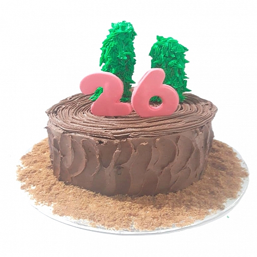 3Lbs Jungle Theme Cake - Armeen