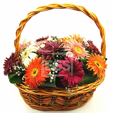 Gerbera Carnival Basket