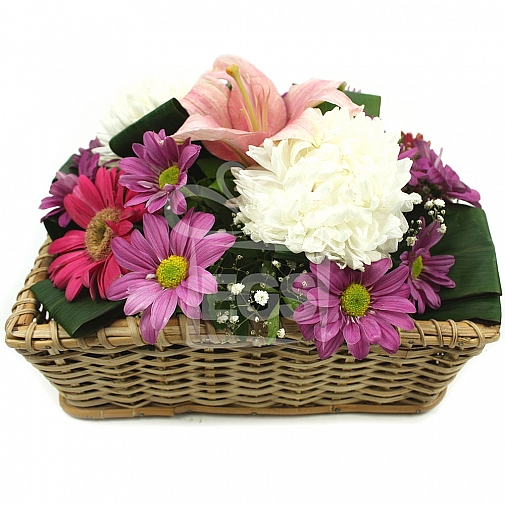 Gerberas Basket