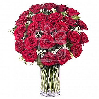 24 Imported Red Roses