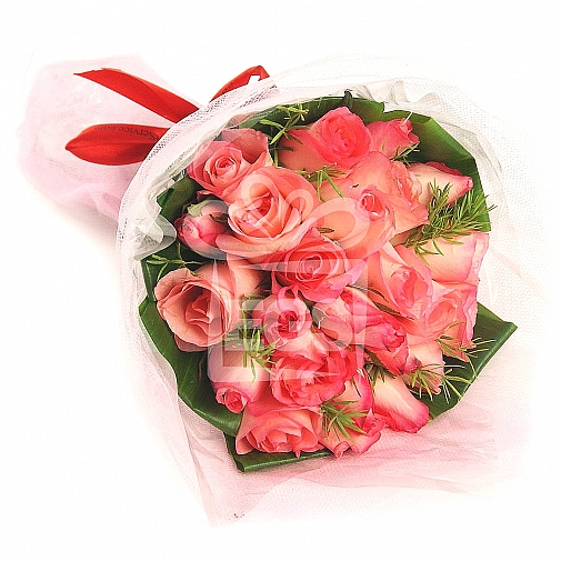 Pink Blushes | Rose Delivery Pakistan | ExpressGiftService