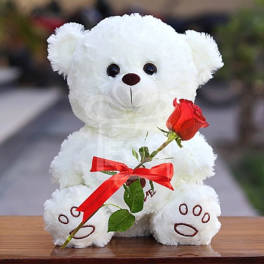 Single Rose with Teddy Bear