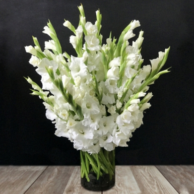 24 White Gladiolas Arrangement in Vase