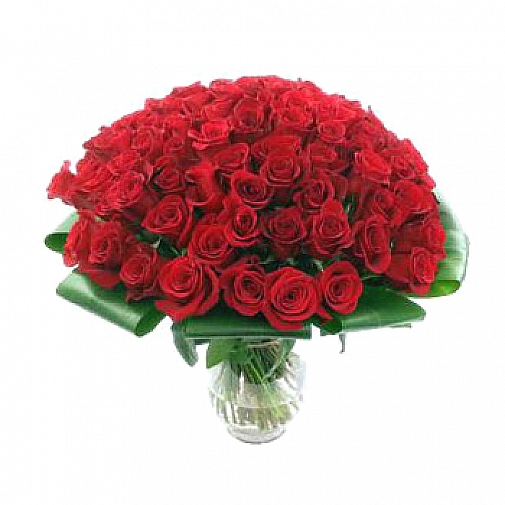 Stunning 100 Roses