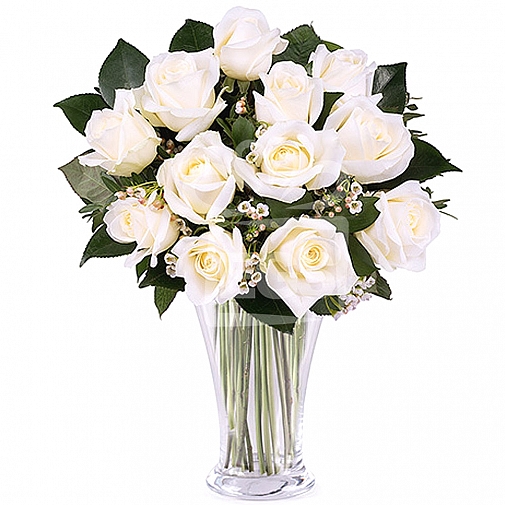 24 Imported White Roses