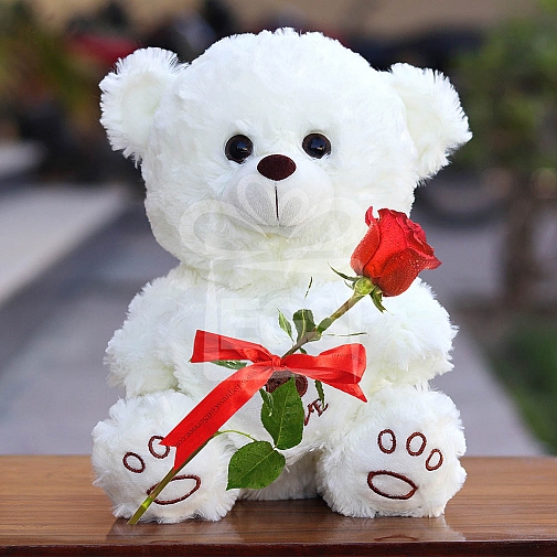 Single Rose with Teddy Bear
