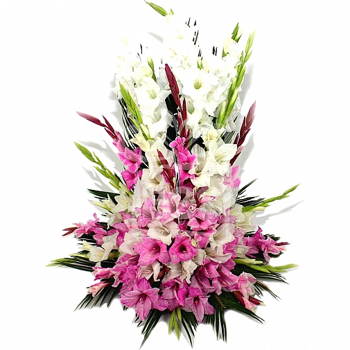 White and Pink Gladiolus Basket