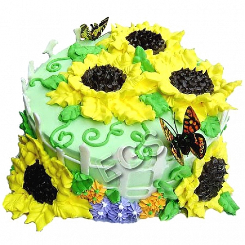 3Lbs Sunny Days Chocolate Cake - Redolence Bake Studio