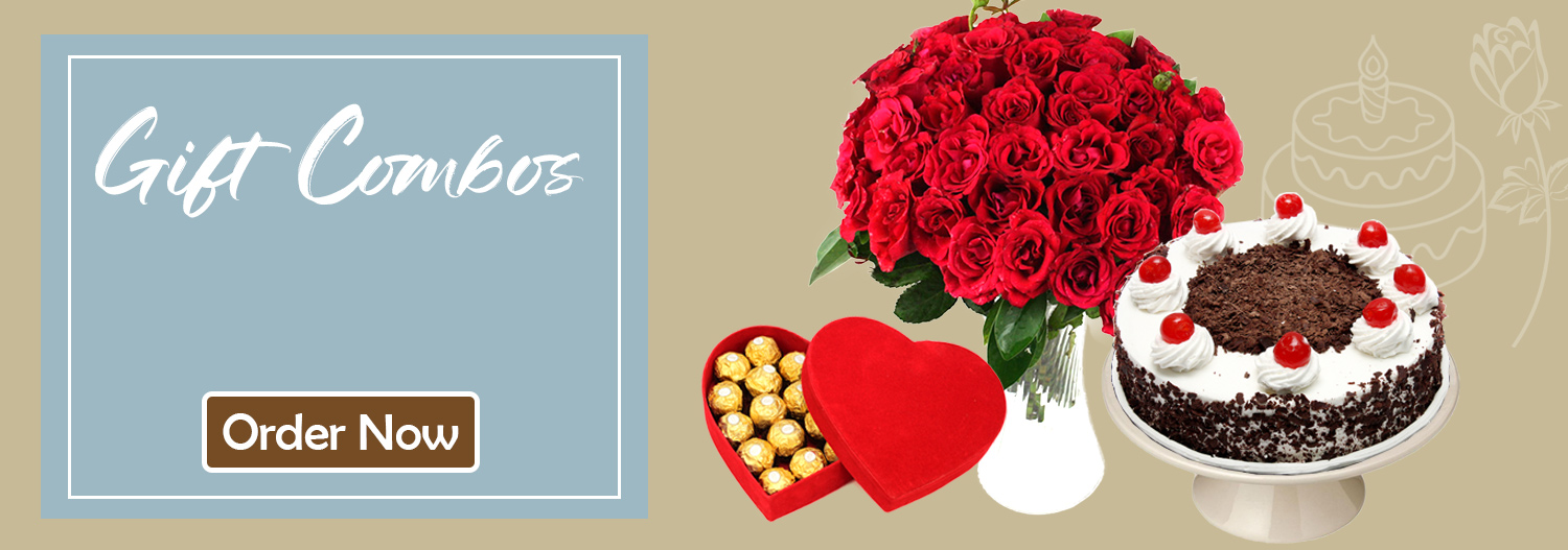 gift-combos-banner-home